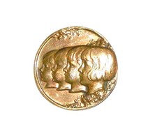 Belle broche bronze - belle,
