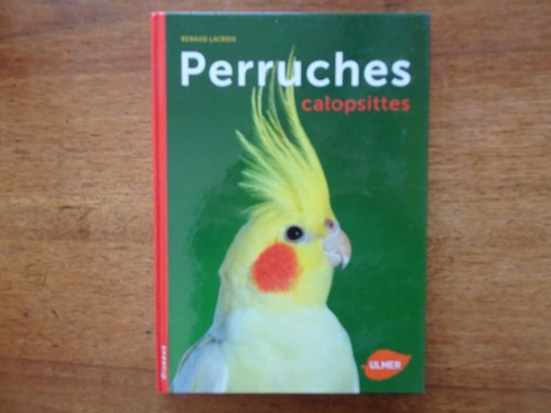 Perruches calopsittes renaud - perruches, calopsittes,