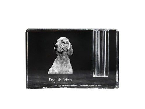 English setter anglais - english, setter,anglais