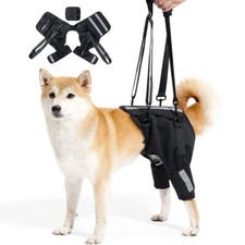 Harnais Porteur pour Chien XL à Ceinture Réglable | Soutien Postopératoire po...