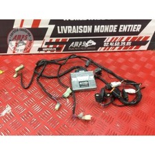 Faisceau + boitier RapidBike EVO Kawasaki Z1000 2010 à 2013