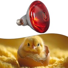 Lampe Chauffante pour Poules Coop Couveuse avec Lumière Infrarouge Rouge E27 Ba