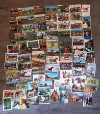 sympa  lot de carte postale / image / document équitation sport hippique divers