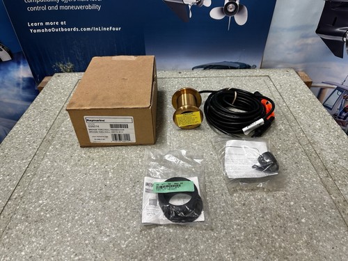 Raymarine dsm300 bronze - raymarine,