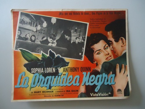 Sophia loren anthony - sophia,