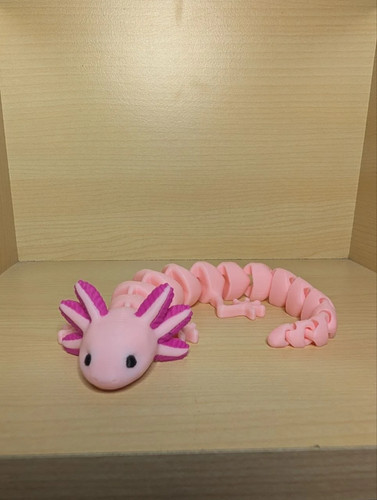 Axolotl articulé multicolore