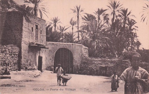 Algerie tolga - algerie,