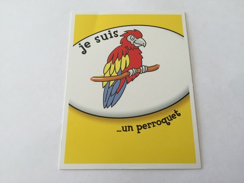 Carte suis perroquet - carte,