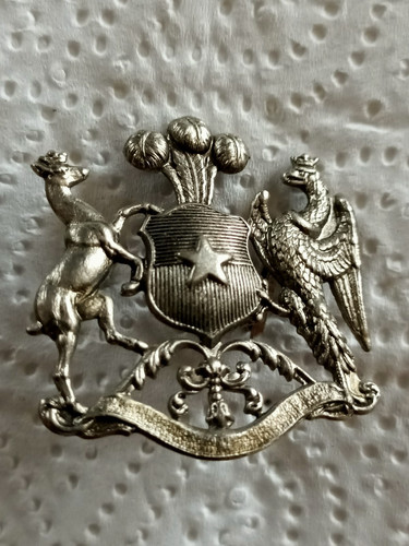 Insigne bérêt - insigne,