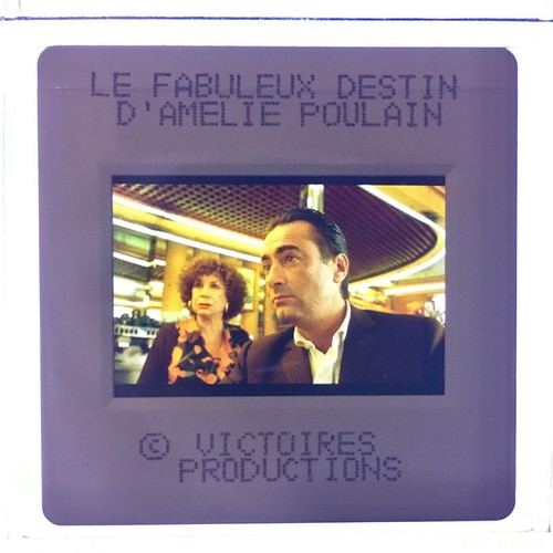 Fabuleux destin amélie - le,