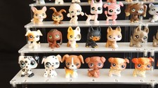 Chiens lps nombreux - de,