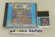 CHAMPION WRESTLER NEC PC