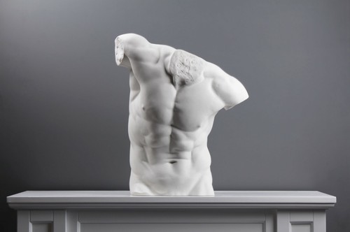 Statue torse homme 5 - homme, (20,5