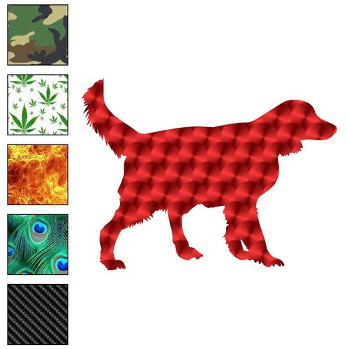 Irish setter gordon - irish, vinyl