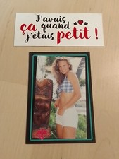 Micki Zell Carte N° 180 Bench Warmer Trading Card 1994 Sexy Adult