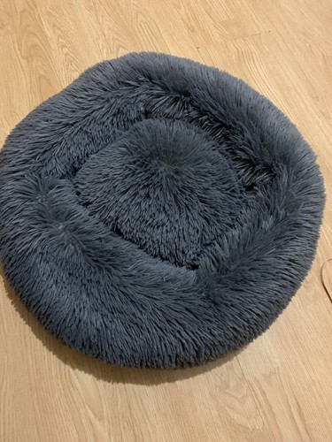 Coussin pouf lit chat - pouf,