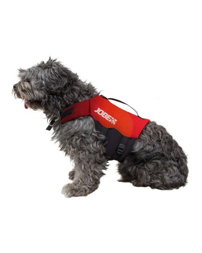 Jobe animal compagnie - jobe,