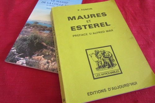 Var foncin maures - 83.,