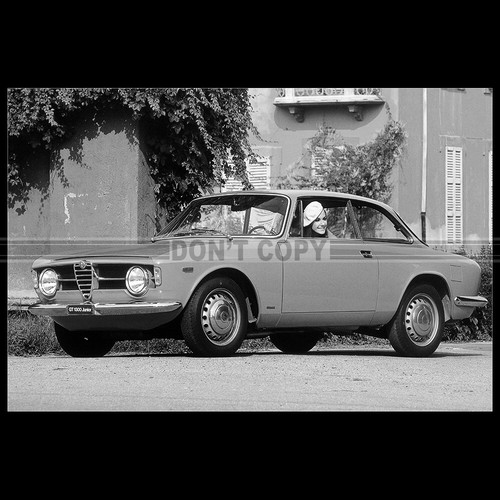 Photo 037270 alfa - photo,