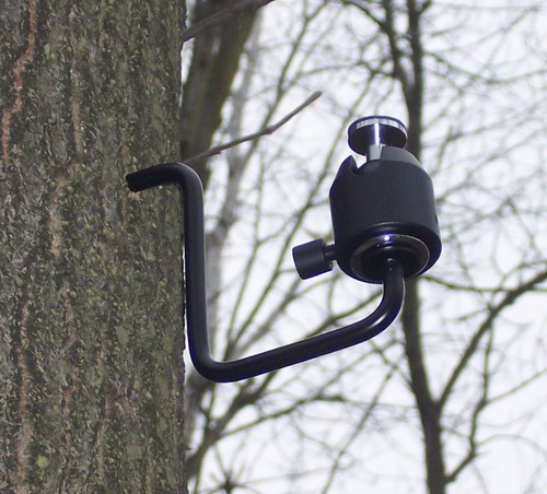 Bushnell trophy cam - ,