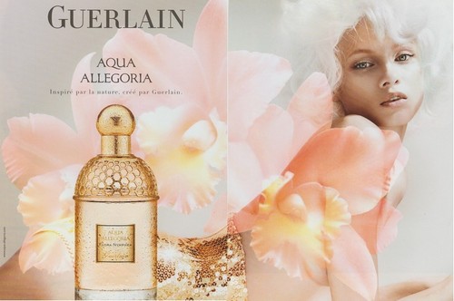 Publicité papier - ,