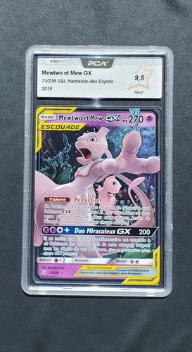 Carte pokémon mewtwo - mew, gx
