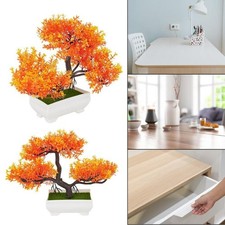 Pour armoires bonsaï