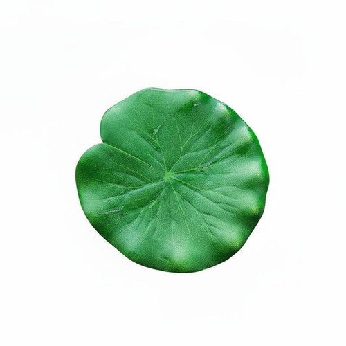 Feuille nénuphar flottante - de,