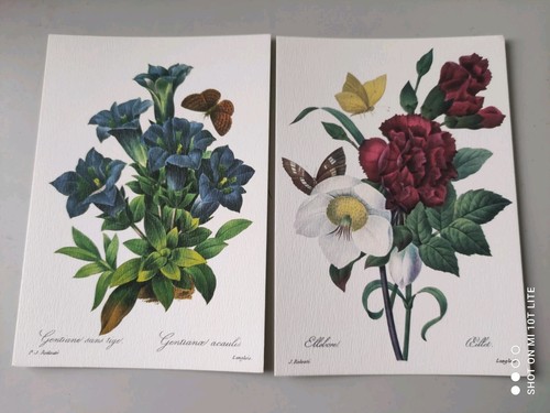 Lot cartes postales - cartes,