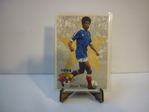 Carte foot panini official - foot,