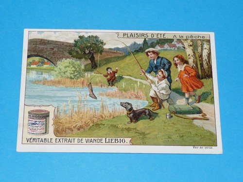 Chromo 1910 liebig serie - serie, 990