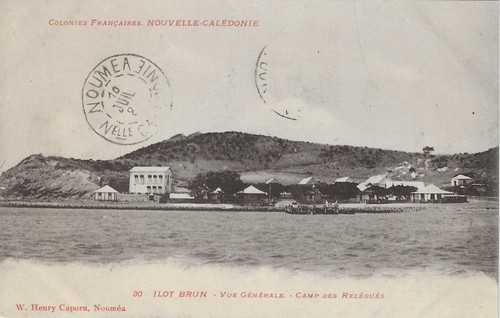 Oceania caledonia brown - oceania, caledonia: