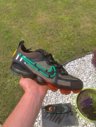 Vapormax cactus plant flea - plant,