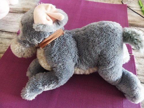 Doudou peluche chien - doudou,