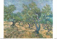 Art - Peinture - Vincent Van Gogh - Olijfgaard - Olive-grove, 1889 - Carte Neuve