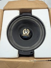 Pioneer TS-W302F IMPP 450w