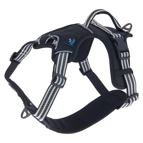 Harnais dynamic noir - dynamic,