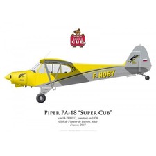 Print Piper PA-18 Super Cub