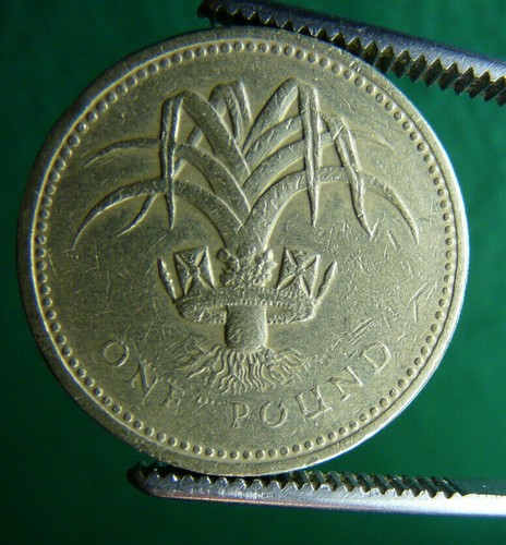 Rara moneta 1985 one - pound,