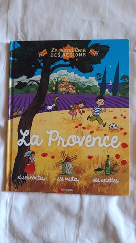Grand livre des régions - livre,