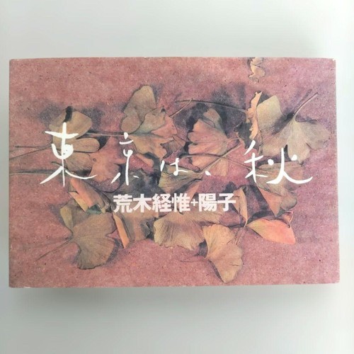 Tokyo autumn nobuyoshi araki - tokyo,