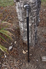 H5577  CANNE  TETE DE MORT CRANE METAL  GOTHIQUE FANTASTIQUE CRANIO CRANEO