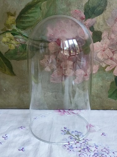 Ancienne cloche globe verre - en,