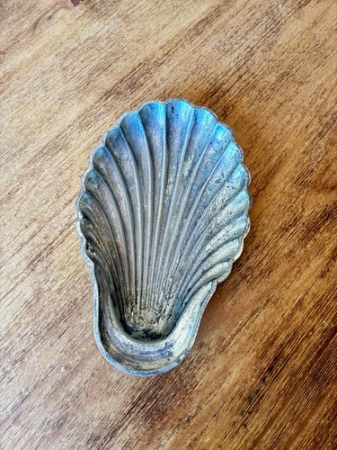 Grand ravier coquillage - , en