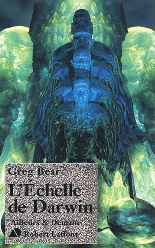 Echelle darwin bear - de,
