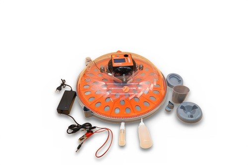 Incubateur vevor œufs - incubateur,