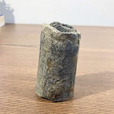 Fossile marin bélemnite - marin, de