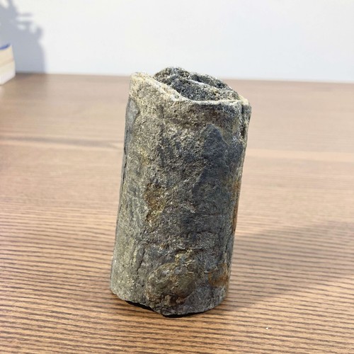 Fossile marin bélemnite - fossile, de