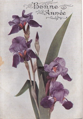 Cpa fantaisie bonne annee - cpa,