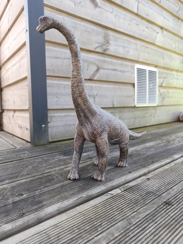 Dinosaure brachiosaurus - dinosaure,